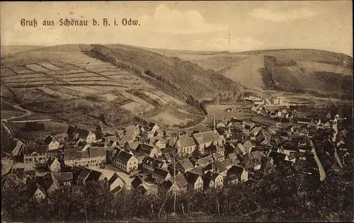 Ak Schönau im Odenwald, Blick auf den Ort