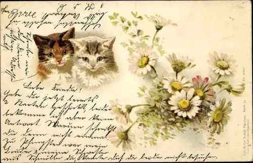 Litho Zwei Katzen, Blumenstrauß, Margeriten