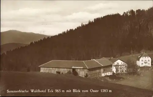 Ak Arrach im Bayerischen Wald Oberpfalz, Waldhotel Eck mit Blick zum Osser