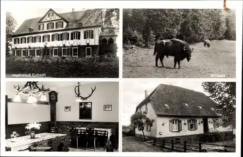 Ak Eulbach Michelstadt, Jagdschloss, Wildpark, Gastzimmer