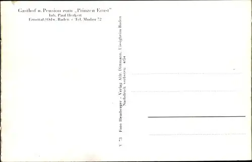 Ak Ernsttal im Odenwald, Gasthof zum Prinzen Ernst, Umgebung