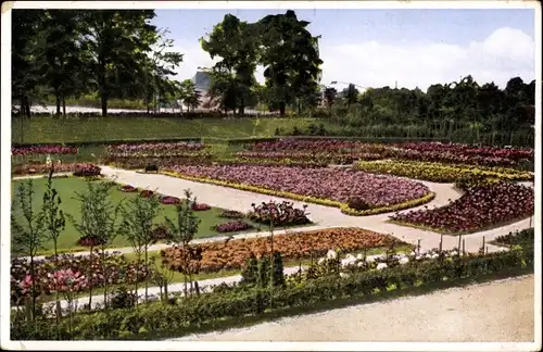 Ak Glauchau Sachsen, Rosarium im Hirschgrundpark