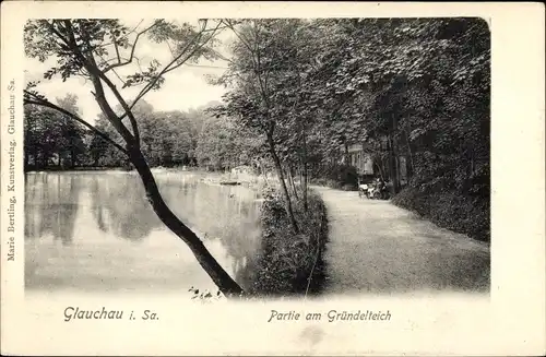 Ak Glauchau an der Zwickauer Mulde in Sachsen, Partie am Gründelteich