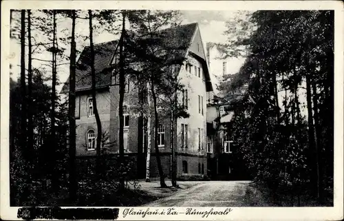 Ak Glauchau in Sachsen, Rümpfwald