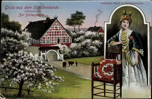 Ak Jork im Kreis Stade, Kirschenland, Altländer Braut in Nationaltracht, Zur Blütenpracht