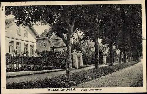 Ak Kellinghusen in Holstein, Obere Lindenstraße