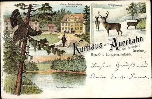 Litho Clausthal Zellerfeld Oberharz, Kurhaus Auerhahn, Hirsche im Schnee, Auerhahnsteich, Auerhahn