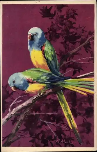 Künstler Ak Mortin, A., Papageien auf einem Zweig