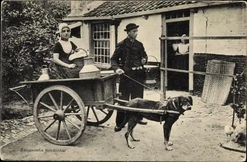 Ak Niederlande, Zeeuwsche Hondenkar, Hundekarren, Milchmädchen, Zughunde, Hundekarren