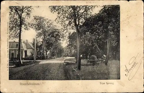 Ak Roordahuizum Leeuwarden Friesland Niederlande, Trye Sprong