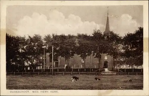 Ak Oudeschoot Friesland Niederlande, Ned. Herv. Kerk, Kuhweide