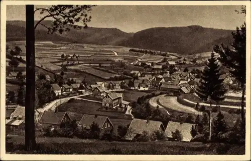 Ak Albrechts Suhl in Thüringen, Panorama vom Aschenhof Ferienheim