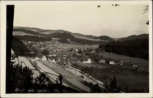 Foto Ak Waldau Schleusingen in Thüringen, Gesamtansicht