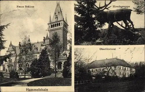 Ak Hummelshain in Thüringen, Hirschgruppe, Oberförsterei, Neues Schloss