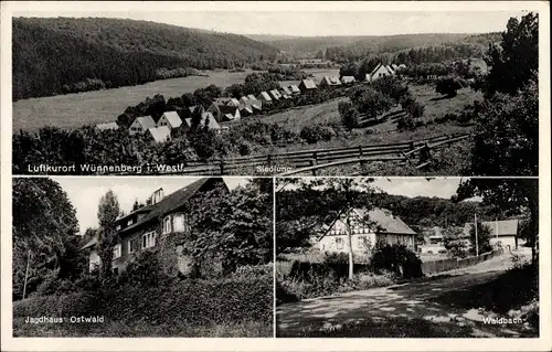 Ak Bad Wünnenberg in Westfalen, Siedlung, Jagdhaus Ostwald, Waldbach