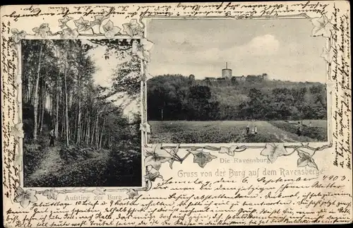 Ak Borgholzhausen in Westfalen, Burg Ravensberg, Panorama, Aufstieg