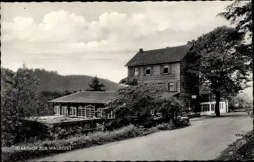 Ak Ringelstein Harth Büren in Westfalen, Gasthof zur Waldlust