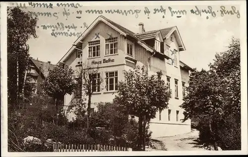 Ak Bockswiese Goslar im Harz, Pensionshaus Bethe