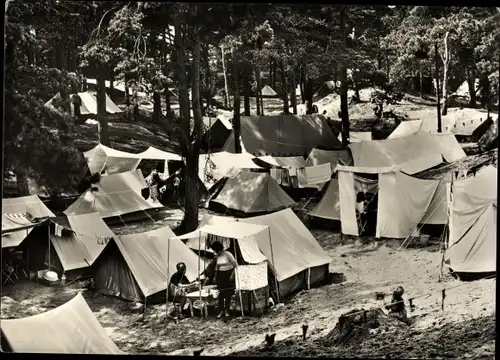 Ak Ostseebad Baabe auf Rügen, Partie am Zeltplatz, Wald, Camping