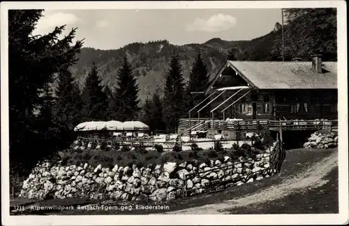Ak Rottach Egern, Alpenwildpark, Gasthaus Galaun am Fuße des Riederstein