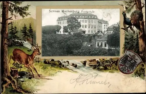 Präge Wappen Passepartout Ak Hachenburg im Westerwald, Schloss Hachenburg, Forstschule