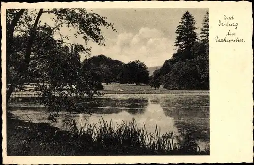 Ak Bad Driburg in Westfalen, Parkweiher