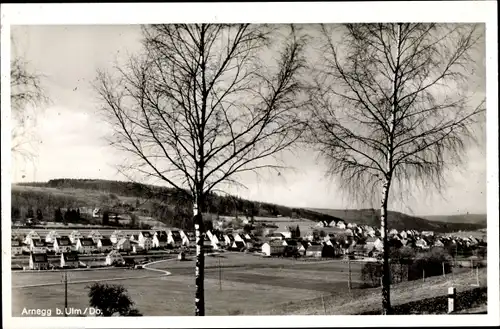 Ak Arnegg Blaustein in Württemberg, Gesamtansicht, Gasthof zum grünen Baum