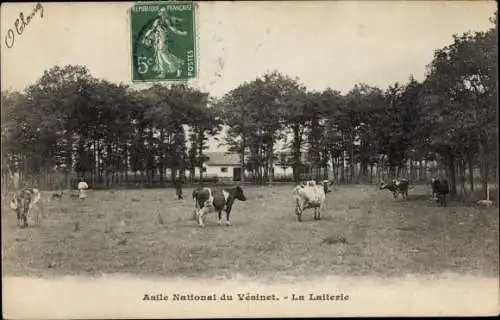 Ak Le Vésinet Yvelines, Asile National, La Laiterie