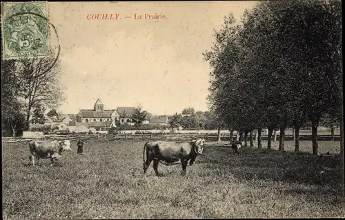 Ak Couilly Seine et Marne, La Prairie