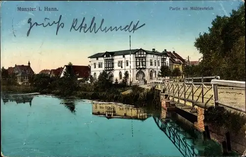 Ak Munster an der Örtze, Partie am Mühlenteich