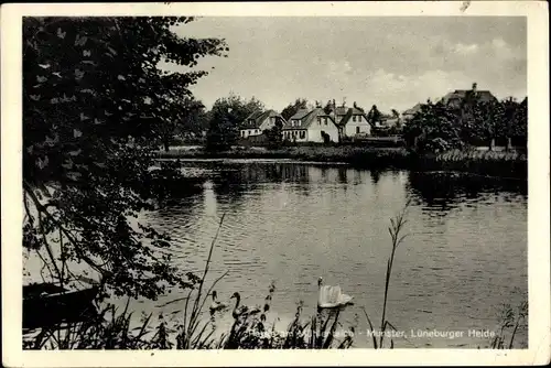 Ak Munster an der Örtze, Blick über den Mühlenteich auf die Häuser