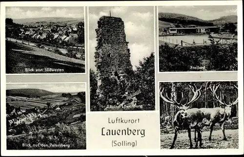 Ak Lauenberg Dassel in Niedersachsen, Freibad, Ruine Löwenburg, Blick auf den Petersberg, Hirsche