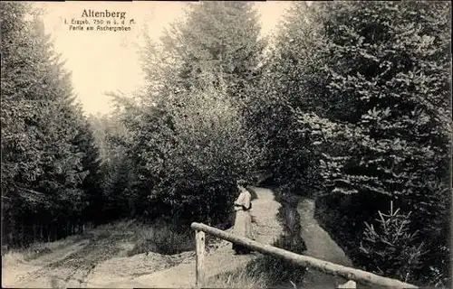 9 alte Ak Altenberg Erzgebirge, diverse Ansichten