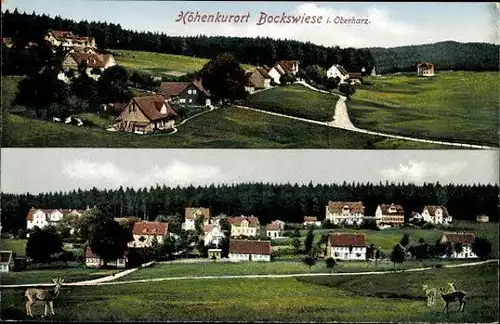 10 alte Ak Goslar, diverse Ansichten