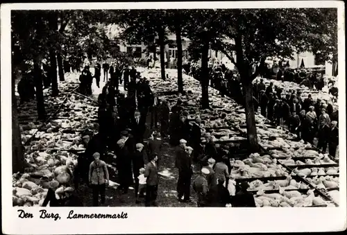 Ak Den Burg Nordholland Niederlande, Lammerenmarkt