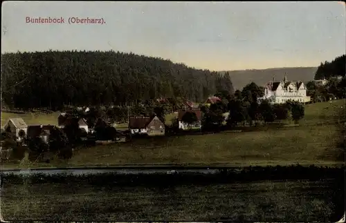 Ak Buntenbock Clausthal Zellerfeld Oberharz, Teilansicht