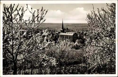 Ak Bensheim an der Bergstraße Hessen, Kirche im Frühling