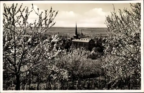 Ak Bensheim an der Bergstraße Hessen, Kirche im Frühling