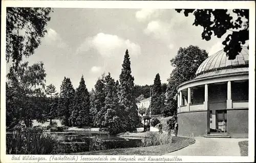 Ak Bad Wildungen in Nordhessen, Seerosenteich im Kurpark mit Konzertpavillon