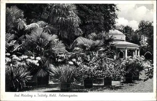 Ak Bad Meinberg am Teutoburger Wald, Palmengarten