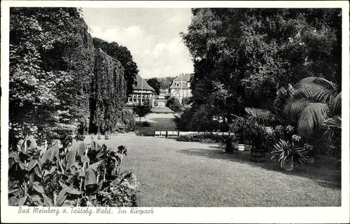 Ak Bad Meinberg am Teutoburger Wald, Im Kurpark