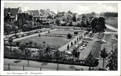 Ak Bad Hönningen am Rhein, Rosengarten