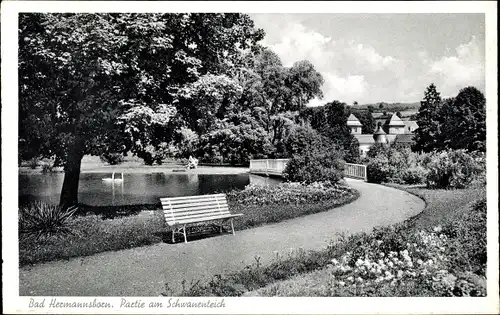 Ak Pömbsen Bad Driburg in Westfalen, Bad Hermannsborn, Am Schwanenteich