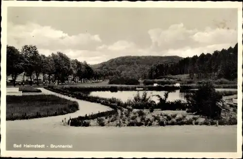 Ak Helmstedt in Niedersachsen, Brunnental