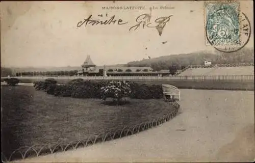 Ak Maisons Laffitte Yvelines, La Pelouse