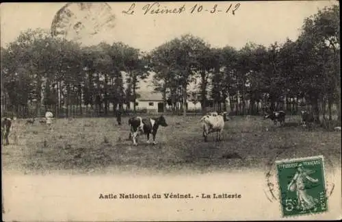 Ak Le Vésinet Yvelines, Asile National, La Laiterie