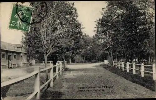 Ak Le Vésinet Yvelines, Asile National, Allee de la vacherie