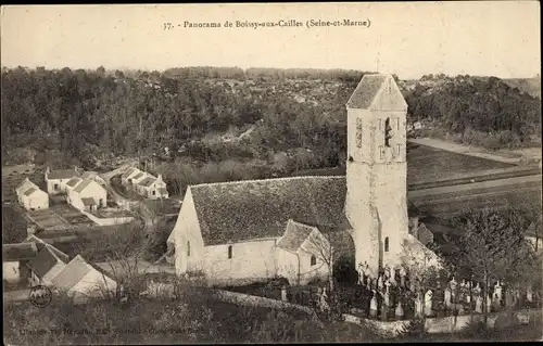 Ak Boissy aux Cailles Seine et Marne, Panorama