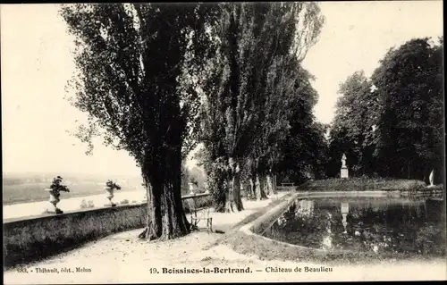 Ak Boissise la Bertrand Seine et Marne, Chateau de Beaulieu