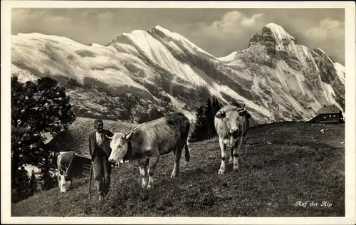 Ak Schweiz, Auf der Alp, Hirt mit Rindern, Gebirge